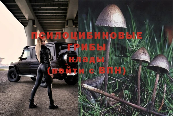 a pvp Балахна