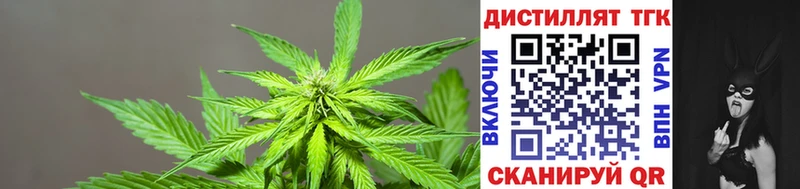 Дистиллят ТГК THC oil  что такое наркотик  ссылка на мегу зеркало  маркетплейс Telegram  Белёв 