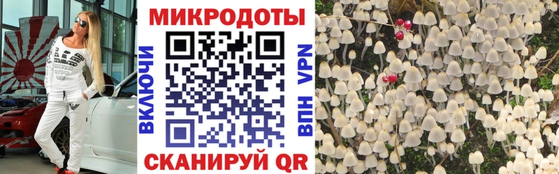 Псилоцибиновые грибы мицелий закладки Белёв